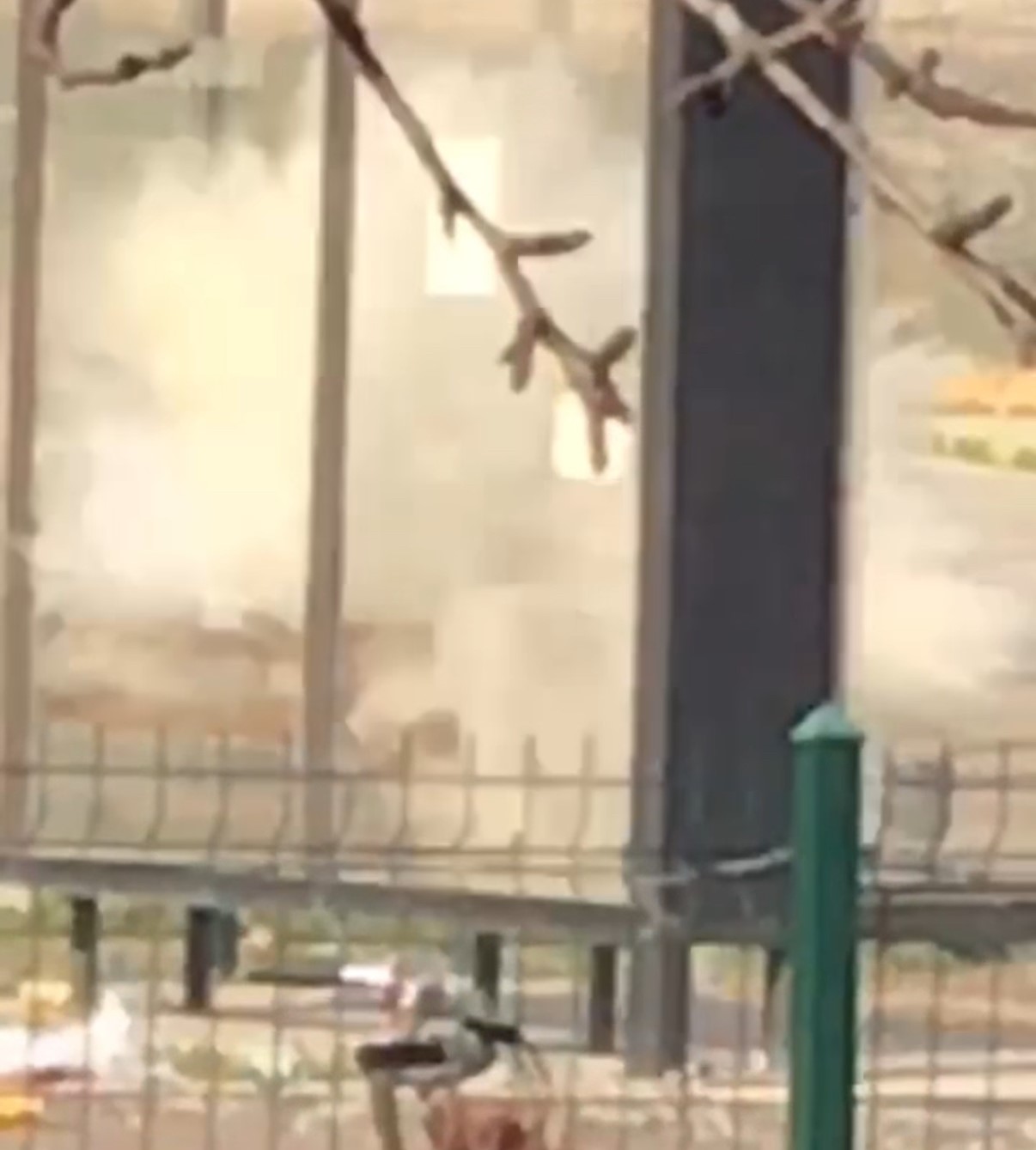 duzcede supheli canta panigi Gfc5lZ16