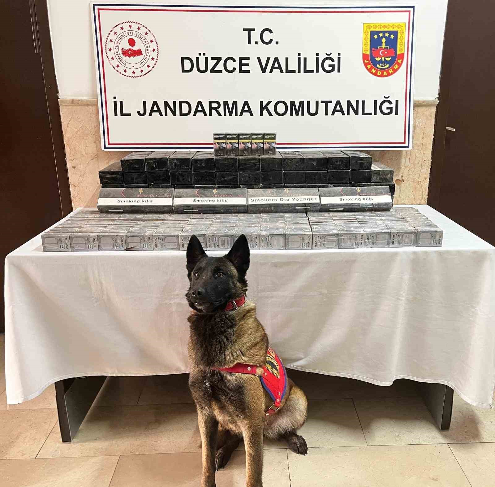 duzcede tirda bin 69 paket kacak sigara ele gecirildi MmBRz5vl
