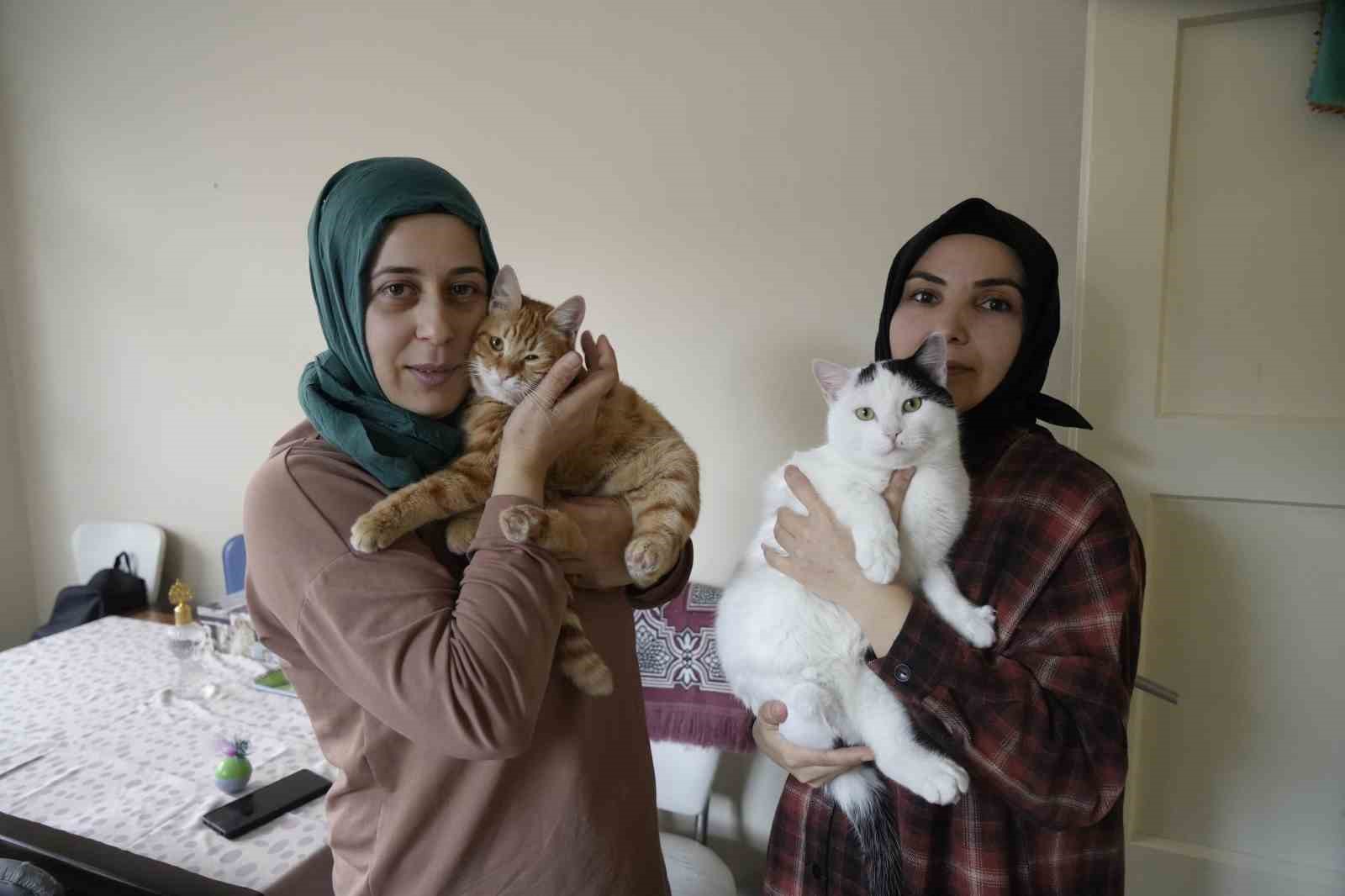 gumushanede engelli kediler sefkatli ellerle hayata tutunuyor 2Le6q4fa