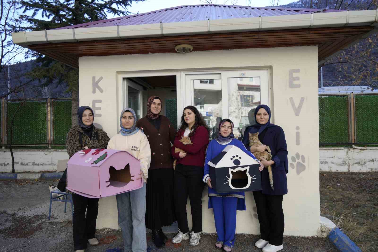 gumushanede ogrenci yurdunun guvenlik kulubesi kedilere yurt oldu Gq3ZeKuA