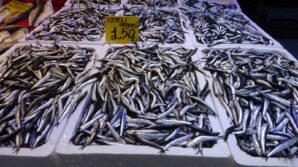 hamsi avinda dusus baslayinca fiyatlarda artis yasandi Riws3jpC