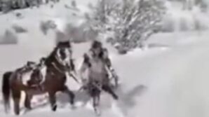 kar uzerinde 4 nala eglence kotu bitti XebUc3jV