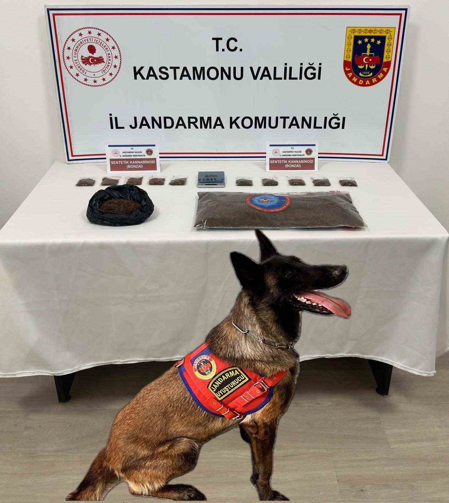 kastamonuda 2 kilogram sentetik kannabinoid ele gecirildi 7zPIRy23