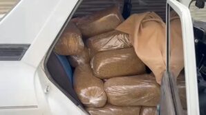 samsunda 250 kilo kacak tutun ele gecirildi h5L8zlRb