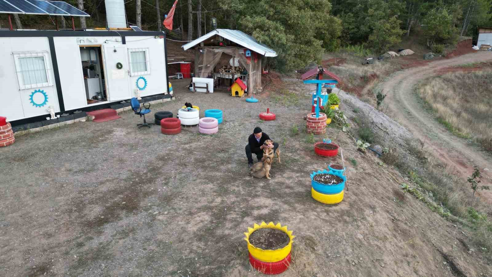 tokatli balikci silayi bulana ceyrek altin verecek l3hyuUEJ