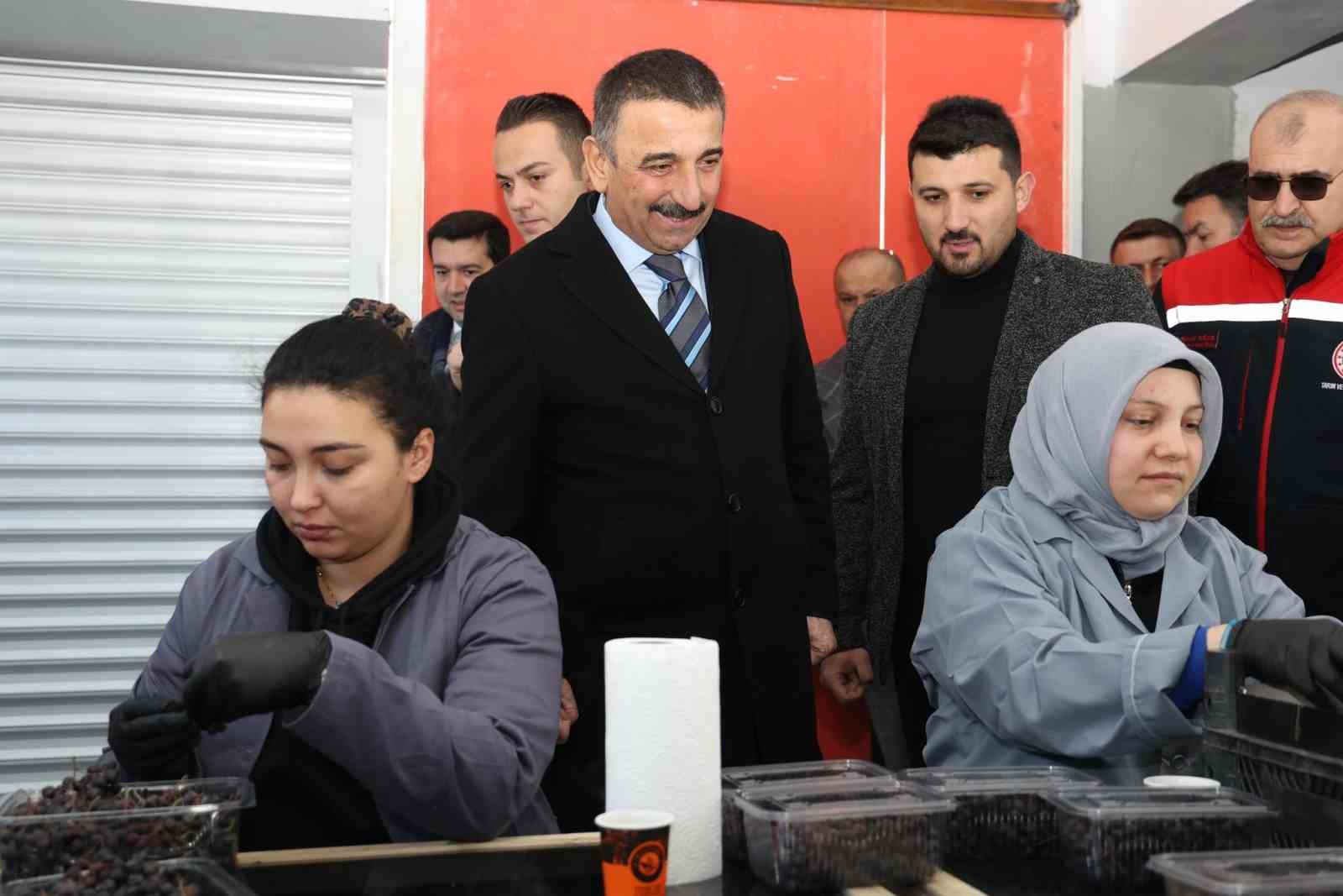 vali hacibektasoglu ozbagi eveyikli koyleri tarimsal kalkinma kooperatifini ziyaret etti ky35c1aH