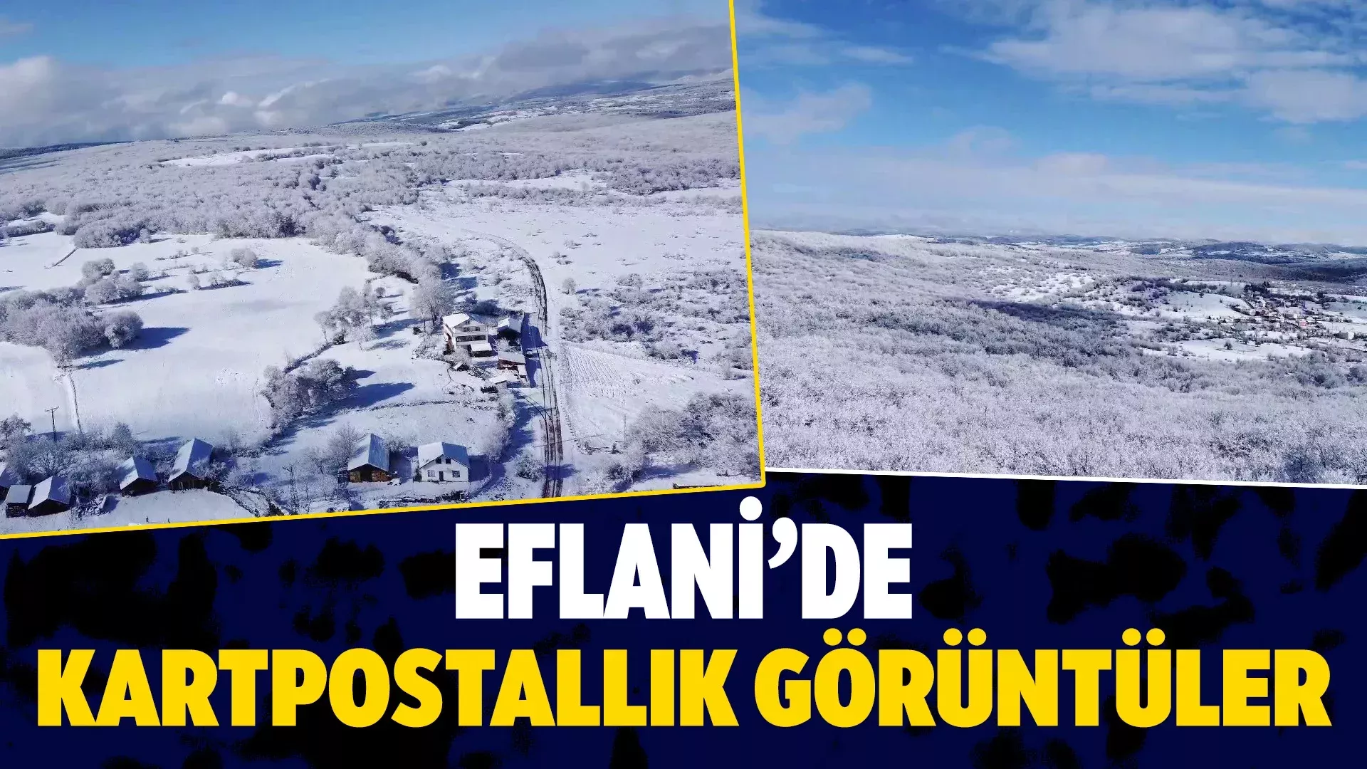 EFLANI
