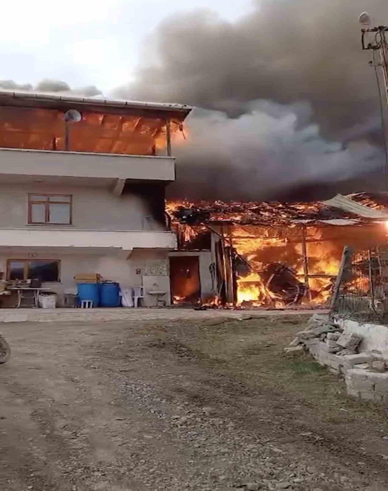 alevlere teslim olan ev ve ahir kullanilmaz hale geldi 3e8YRrny