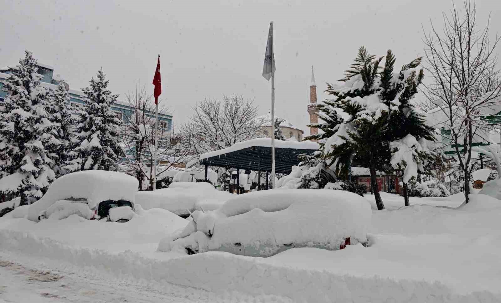 artvin sehir merkezinde kar esareti YfMti4Ra