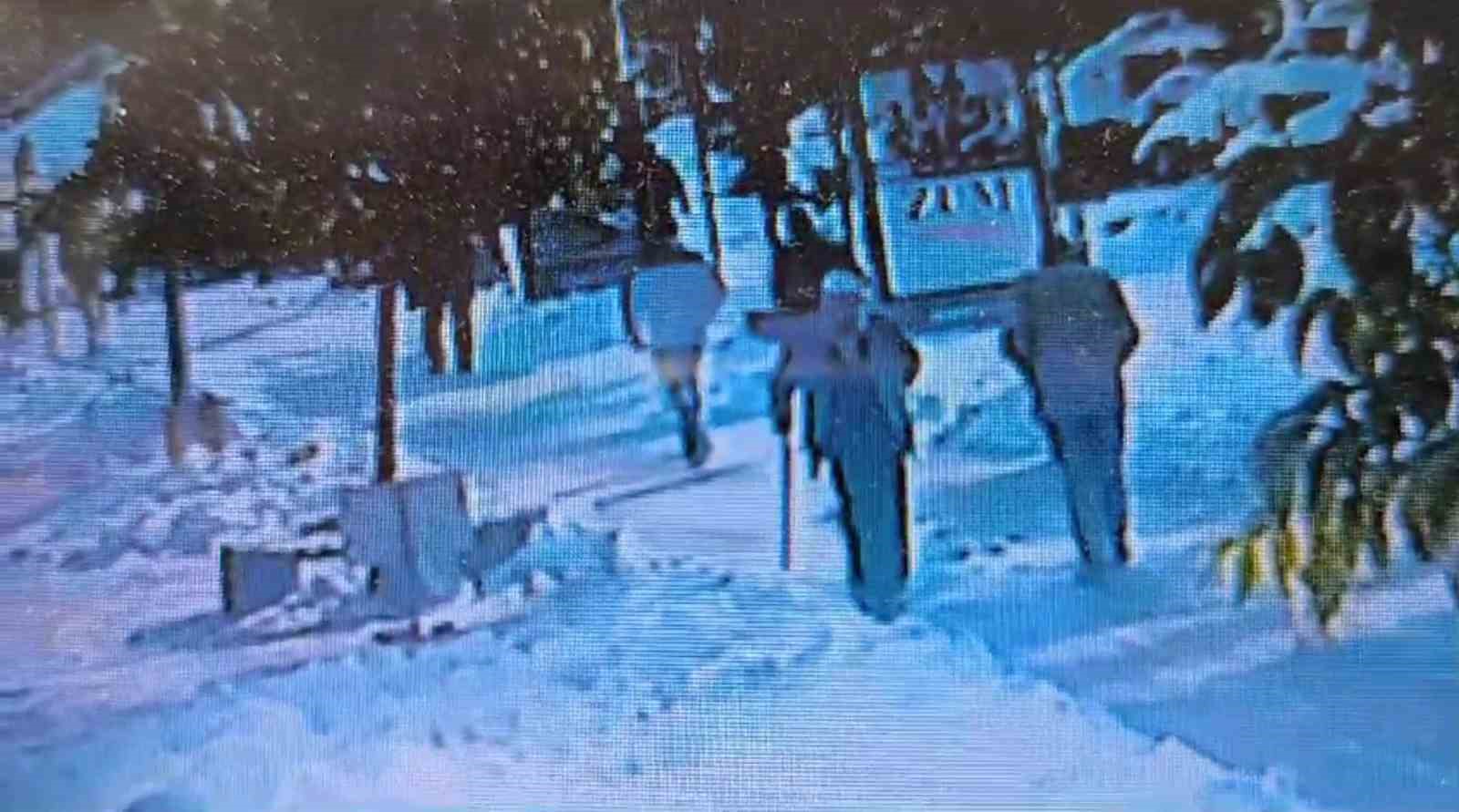 buzlu yolda dusup hayatini kaybeden yasli adamin o anlari kamerada V31zBmCZ