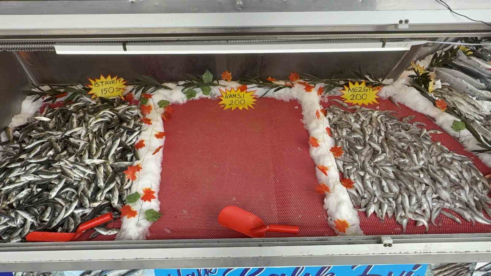 hamsi sevenlere kotu haber Z9cNri5S