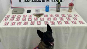 jandarmadan 9 ayri adrese es zamanli uyusturucu operasyonu Asbqtm1Z