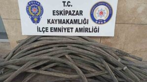 kablo hirsizlari tutuklandi 53rur6VM