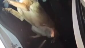 otomobilin diregine zulalanmis uyusturucuyla yakalanan 3 saniga ceza yagdi 9kL9TJSN