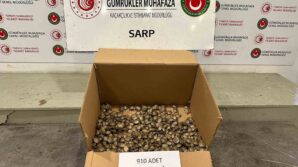 ticaret bakanligi gumrukler muhafaza ekiplerinden su kaplumbagasi operasyonu 1XMWaNuq