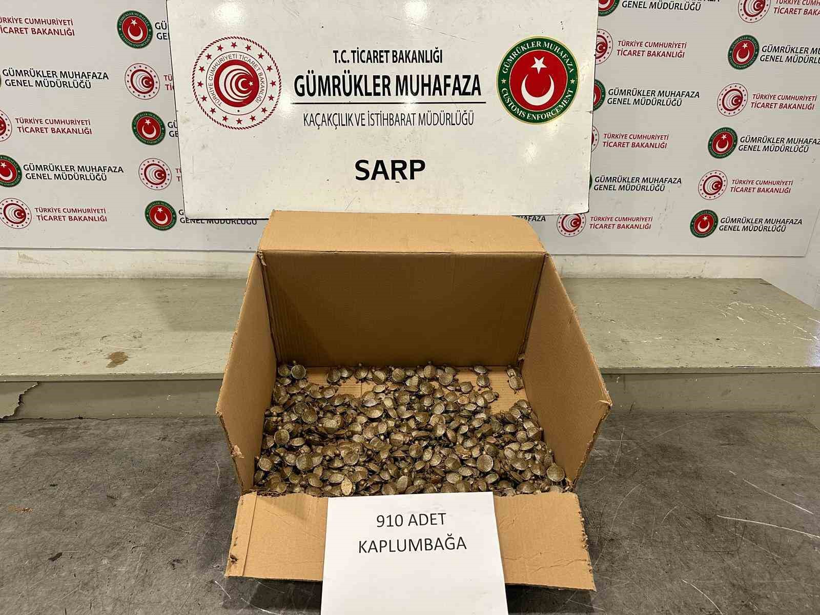 ticaret bakanligi gumrukler muhafaza ekiplerinden su kaplumbagasi operasyonu 1XMWaNuq