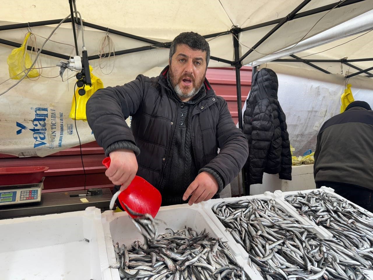 zonguldakta hamsi 100 liradan alici buldu ijPhTZmH