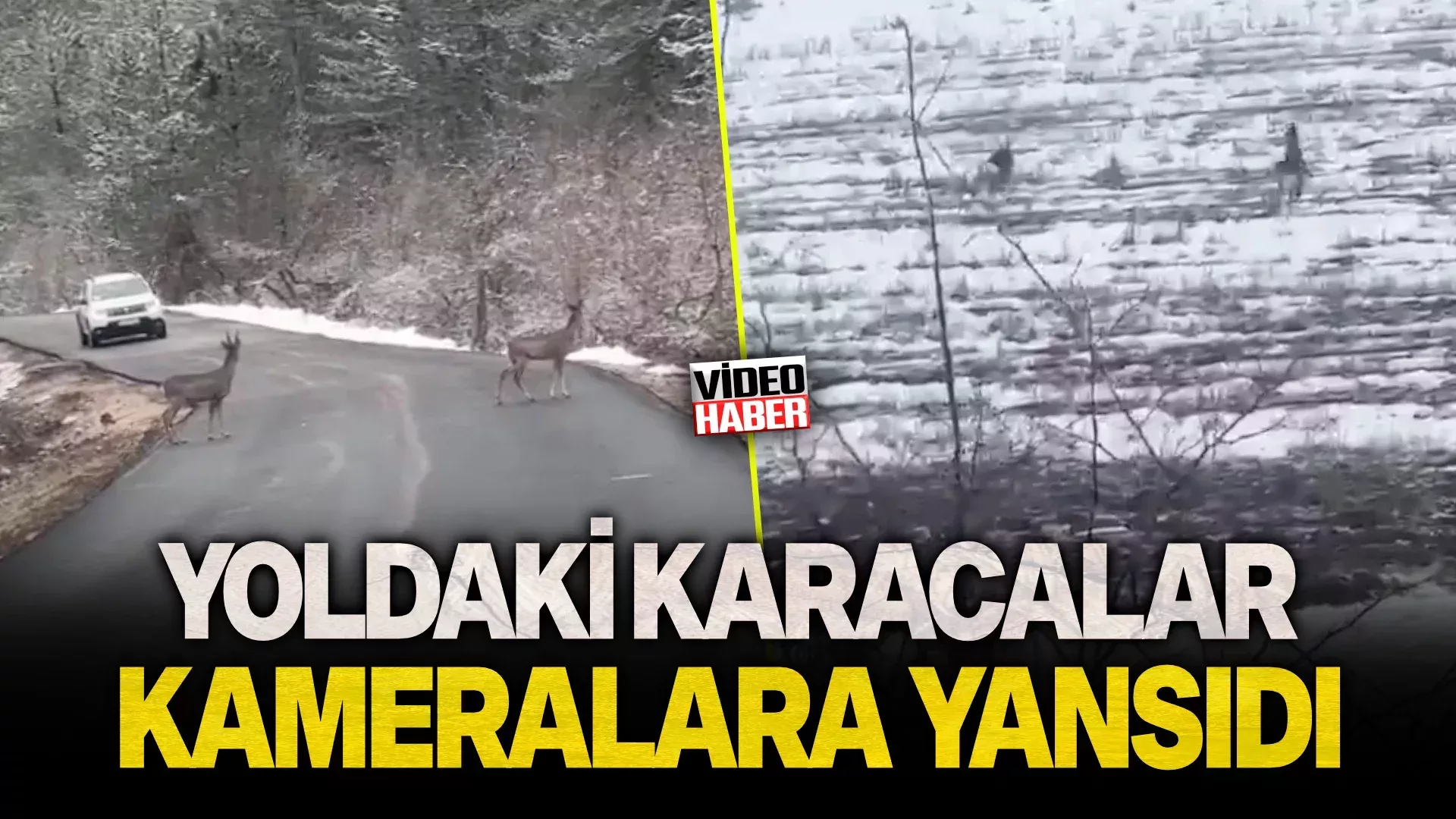KARAAA