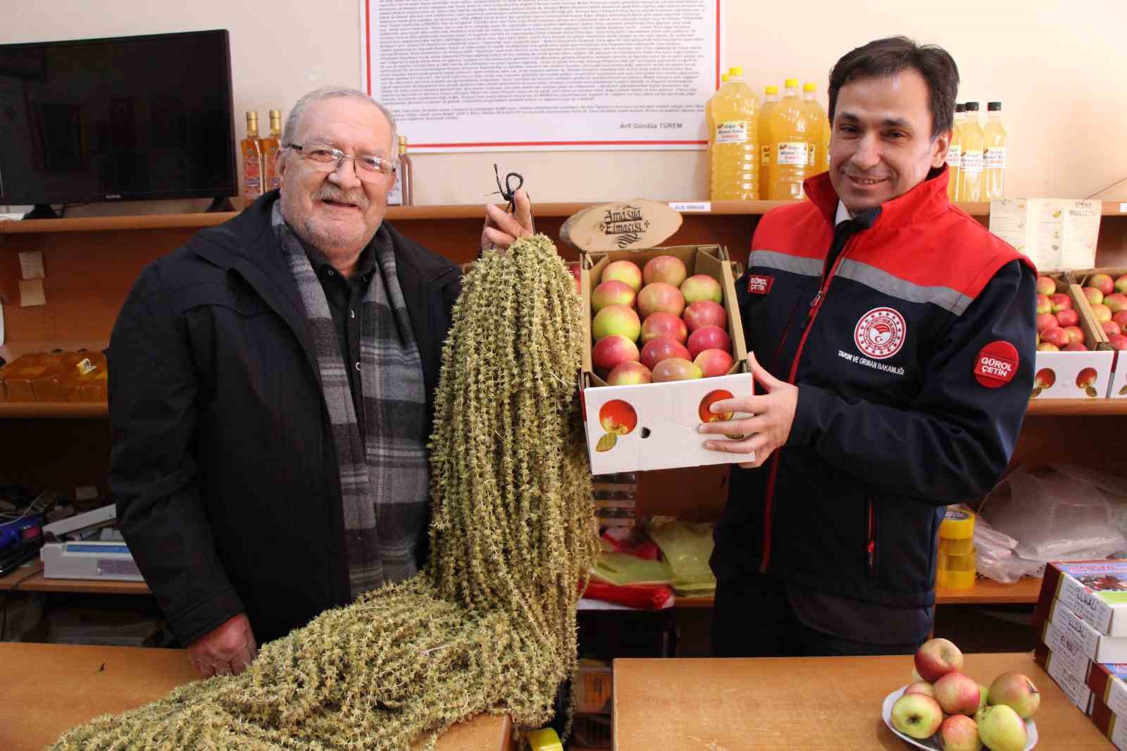 amasyanin misket elmasi ve cicek bamyasi abye tescil yolunda Z7JMv1yk