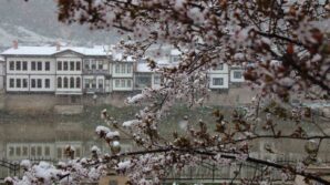 amasyaya mart ayinda kar yagdi cicekler kar beyaziyla kaplandi 15bfrPl3