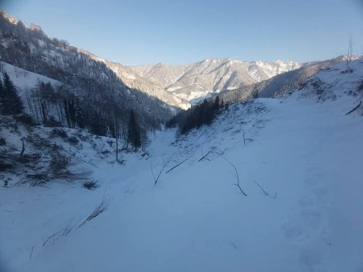 artvinde yogun kar yagisinin ardindan bu kez cig tehlikesi bas gosterdi ijSP54lX
