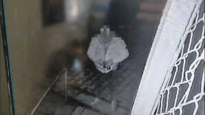 biri okul kamerasini digeri sadaka kutusunu caldi Bcx4sVFI