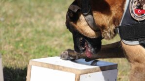 boluda 7 farkli uyusturucu operasyonu 3 tutuklama Vj48g7a4