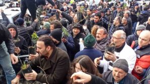 devrek orman isletme mudurlugu fidan dagitiminda bullundu PhxOElKb