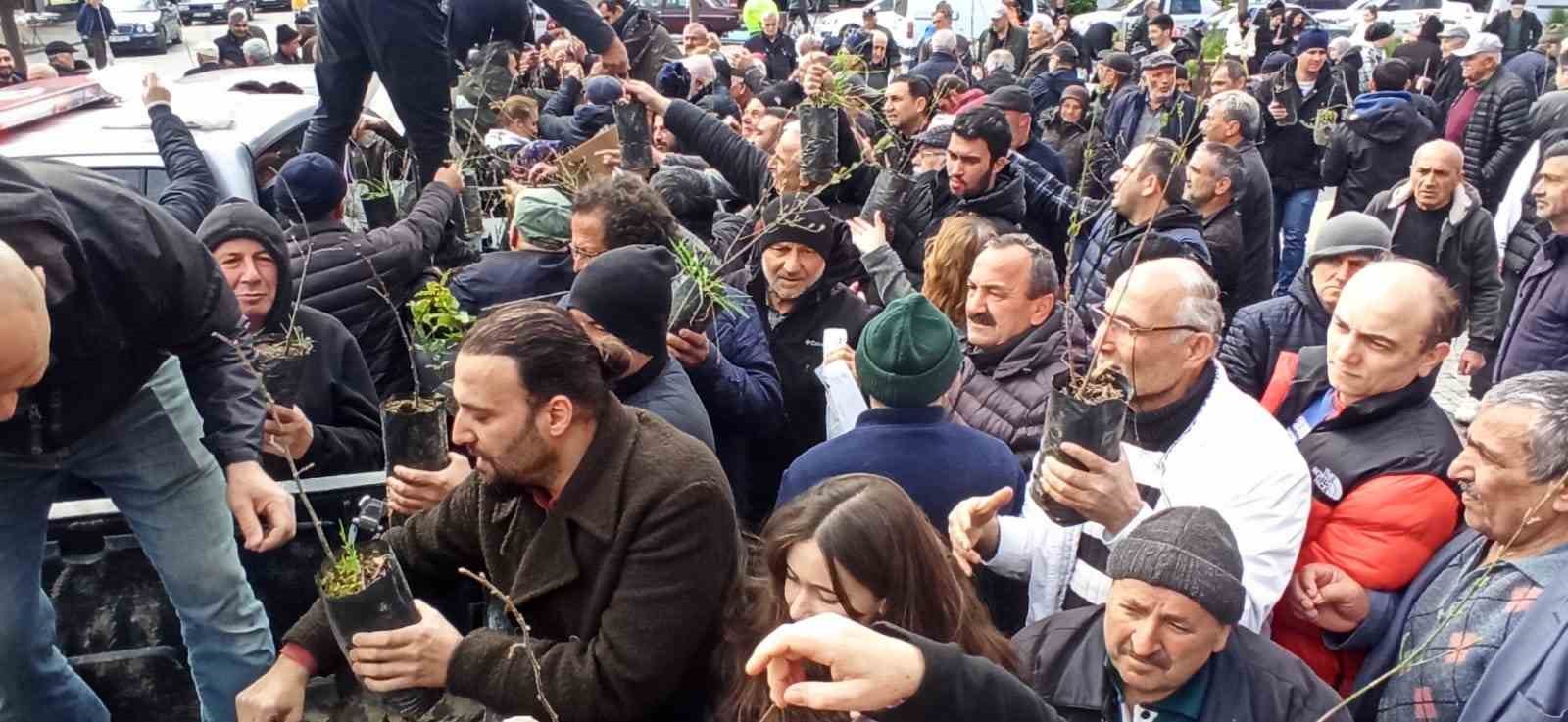 devrek orman isletme mudurlugu fidan dagitiminda bullundu