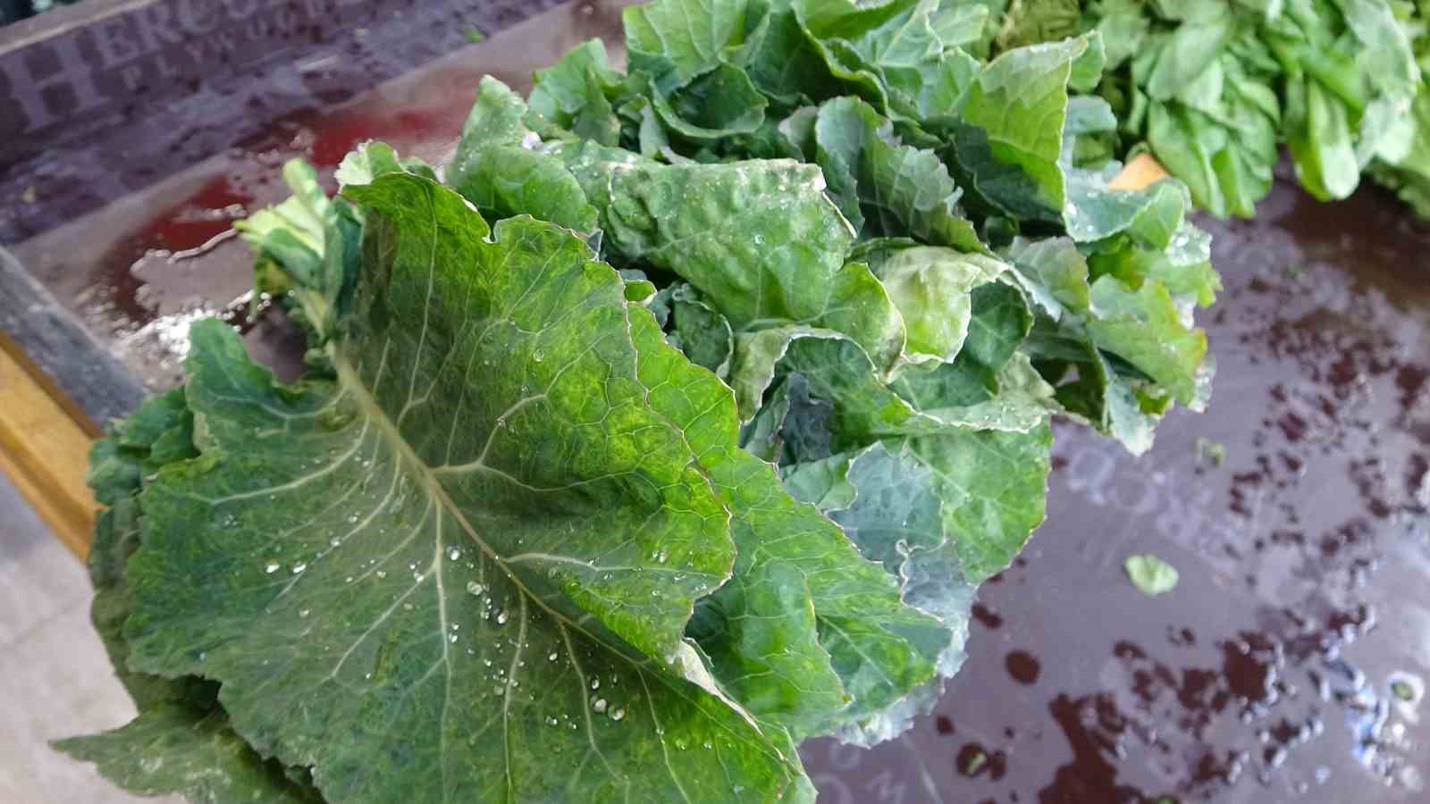 karadeniz insaninin vazgecilmezi ama fazla tuketilmesi tiroid bezi hastaliklarini tetikliyor