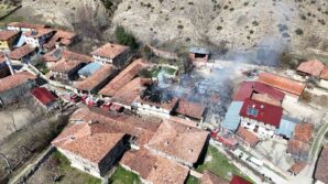 kastamonuda cikan yanginda 2 ev 1 arac yandi 47qi116k