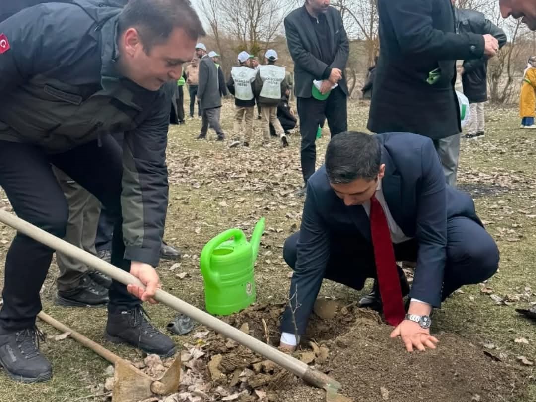 kastamonuda sehit ve gaziler icin fidan dikildi M8TvjrEj