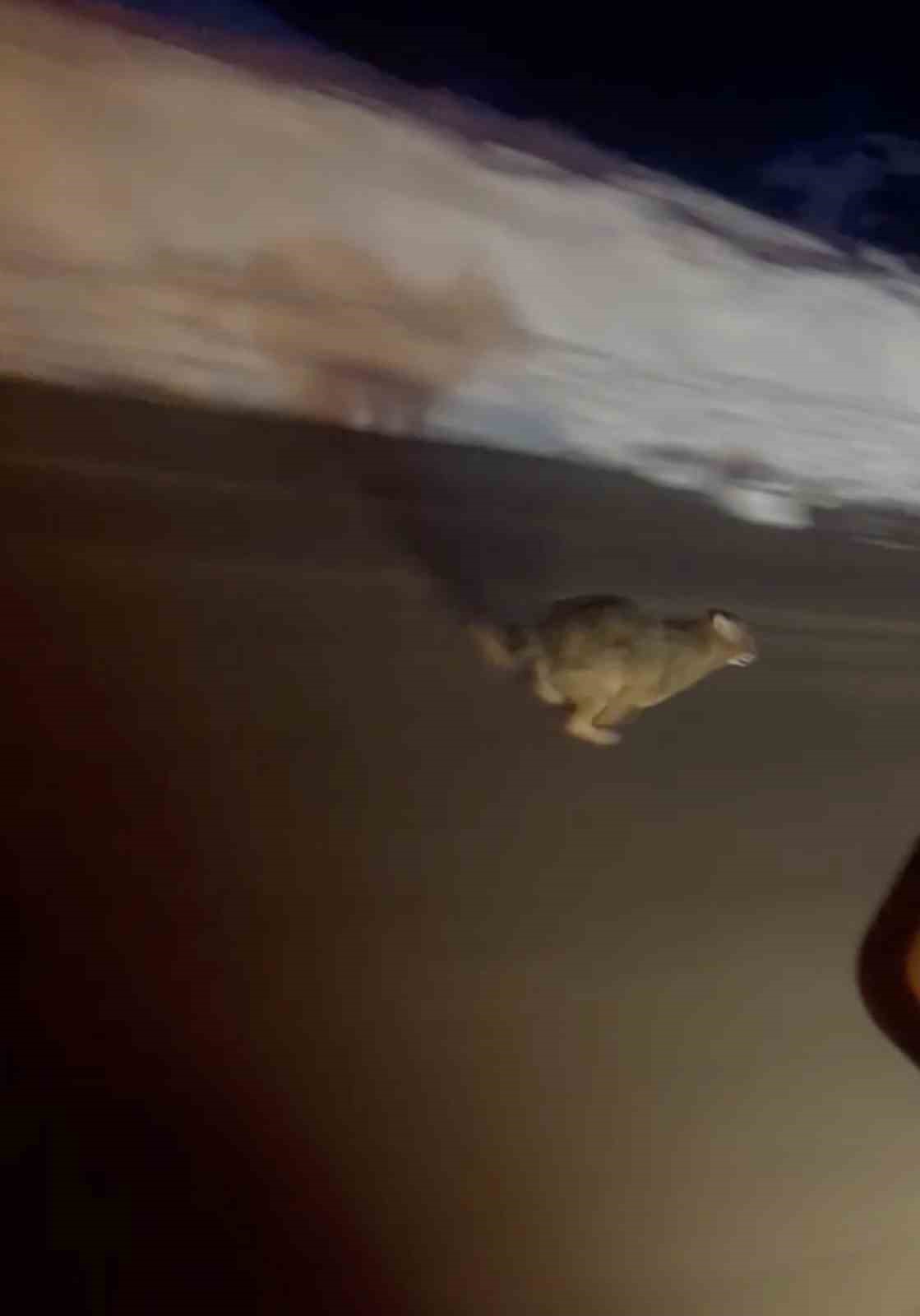 kastamonuda yola inen vasak kamerada RFjbpLZ6