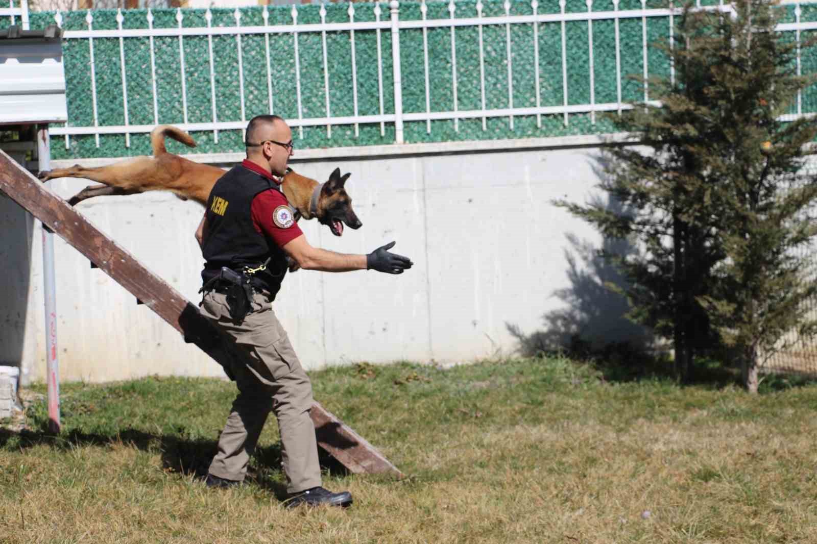 keskin burunlar zehir tacirlerine gecit vermiyor eq2XntqB