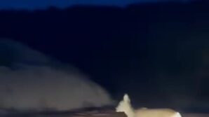 koy yolundaki karaca kamerada XYxd754E