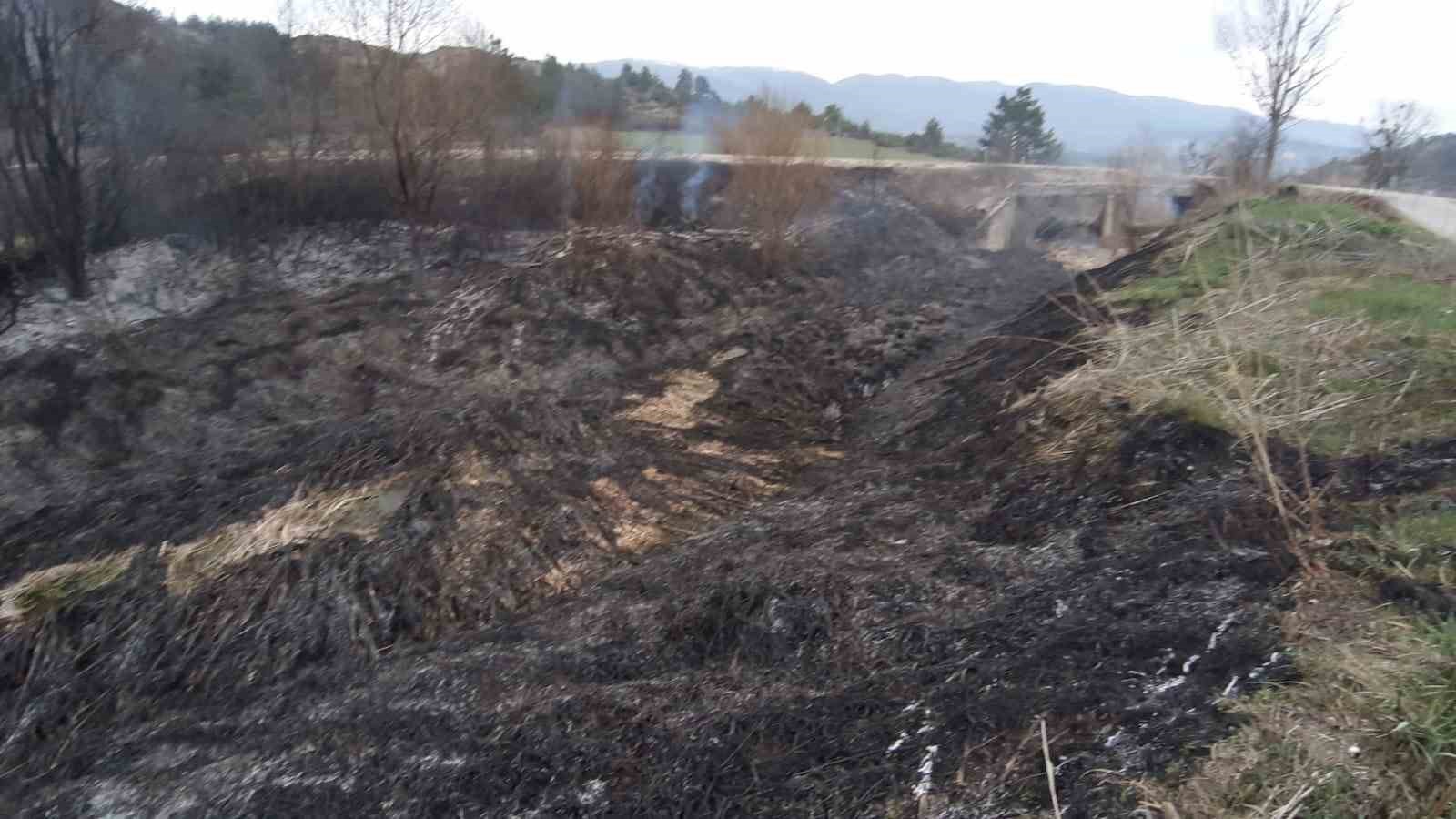 kuru otlar alev aldi ruzgarin etkisiyle yangin buyudu bEleBb2e