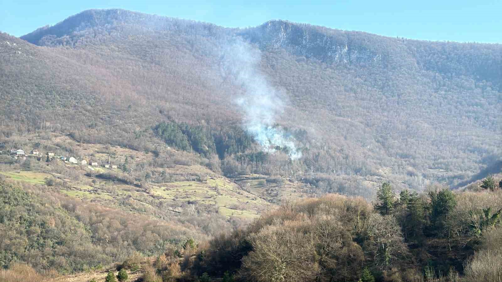 ormanlik alanda ortu yangini cikti Im1P22Ah