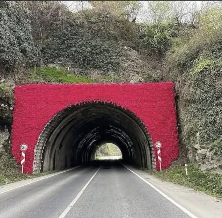 persembe tuneline cittaslow logosu HbfucqrH
