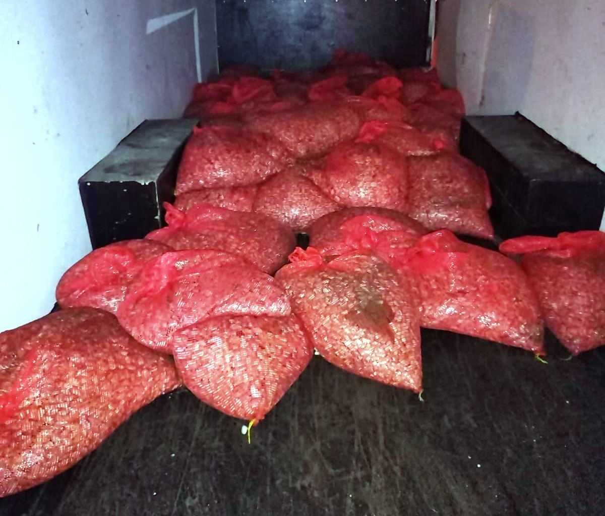 samsunda 3 ton beyaz kum midyesi sevk edilmek uzereyken ele gecirildi abE9e45n
