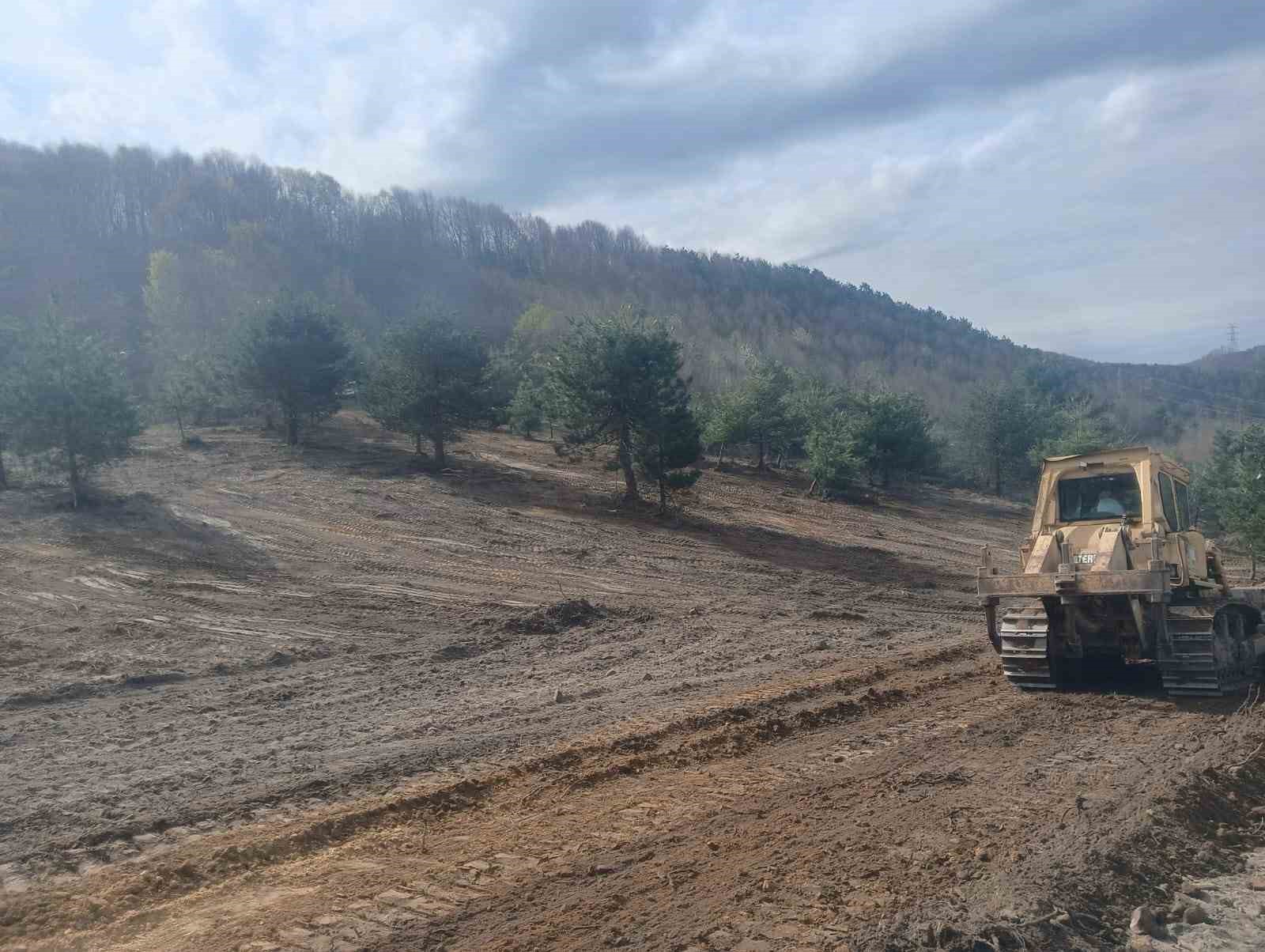 zonguldakta sokak hayvanlari icin calismalar hiz kazandi