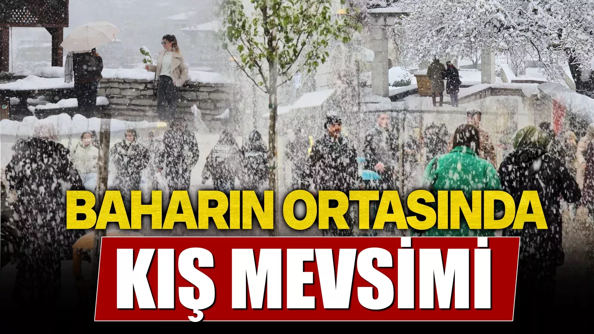 KIS