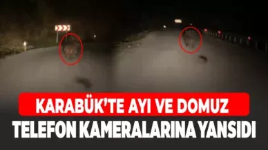 XCXCXCX 1