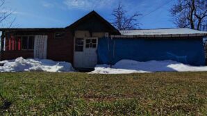 ayni eve 2 yil icinde 5 kez ayi girdi ev savas alanina dondu eB7RSfyz