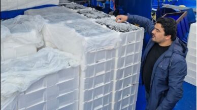 balik sezonunda ineboludan 2 milyon 965 bin ton balik karaya cikartildi AtCXGrFm