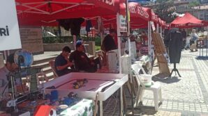 devrekte lise ogrencilerinden sergi rk8UN41q