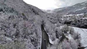 dogal agac tunelli yol kar manzaralariyla mest etti 8nUuMTpF