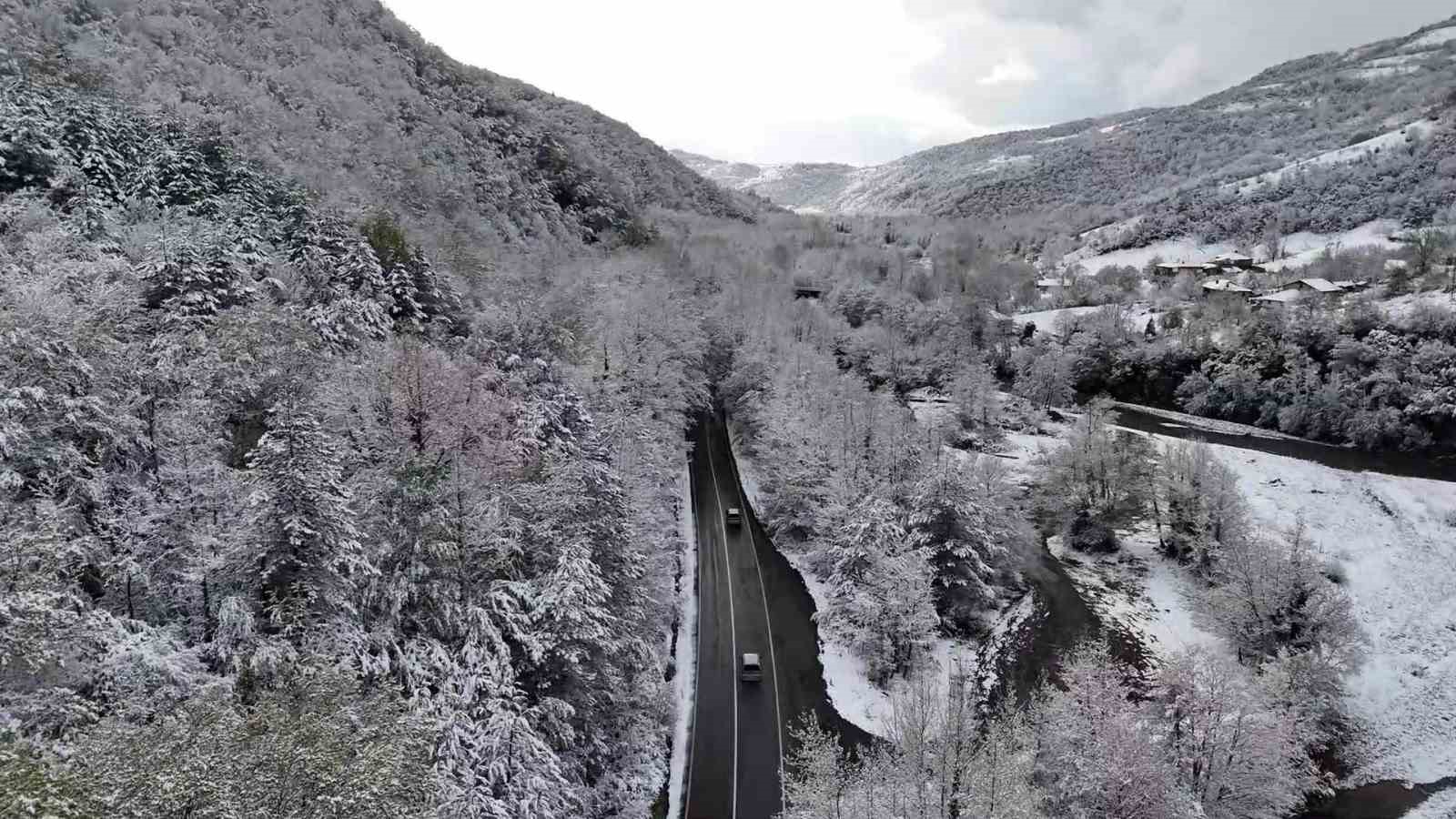 dogal agac tunelli yol kar manzaralariyla mest etti 8nUuMTpF