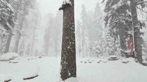 duzcenin yuksek kesimlerinde kar kalinligi 50 santimetreye ulasti STPCtUrV