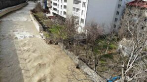 harsit cayinda yukselen su seviyesi vatandaslari tedirgin ediyor BRVuYaMe