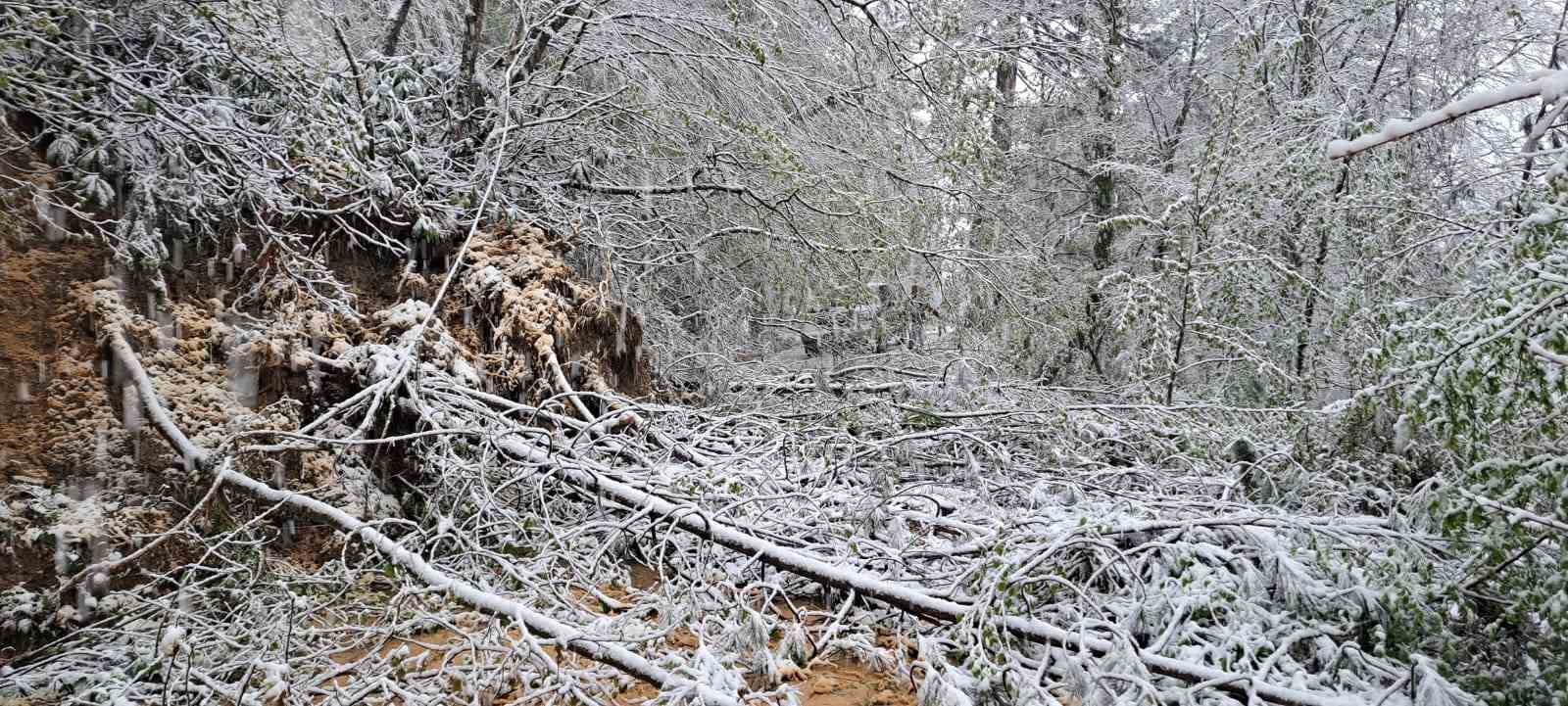 heyelandan kapanan yol yeniden ulasima acildi jDOGiHPF
